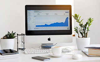 马年春节，马上开拍